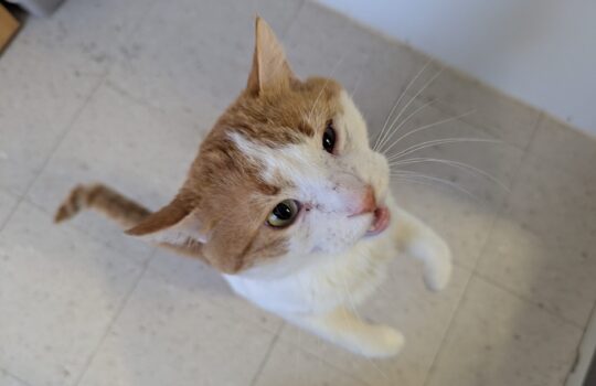 PXL_20260331_131139304