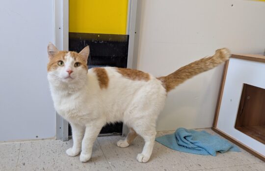 PXL_20260331_131343664 (1)