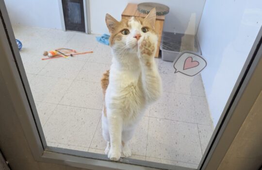 PXL_20260331_131617296