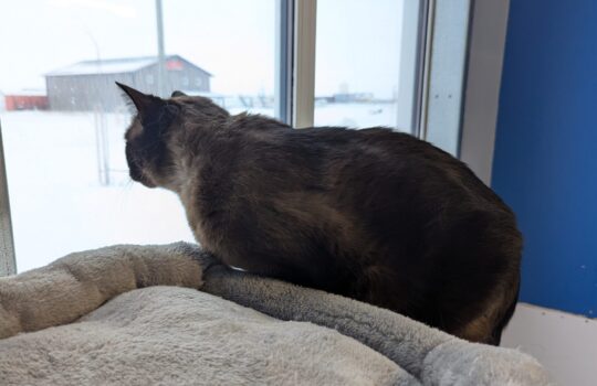 PXL_20260331_132609466