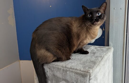 PXL_20260331_132621012