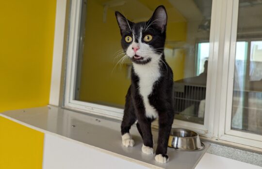 PXL_20260407_143028181 (1)