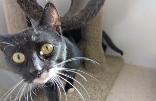 PXL_20260407_143640659