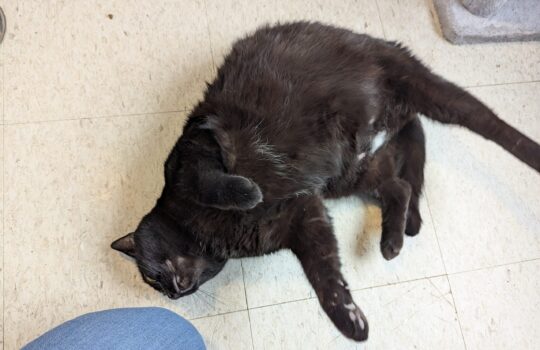 PXL_20260408_193253395