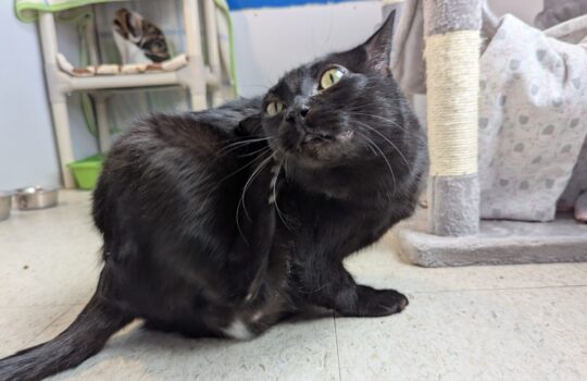 PXL_20260408_193919273