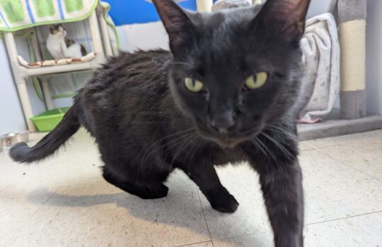 PXL_20260408_193934327