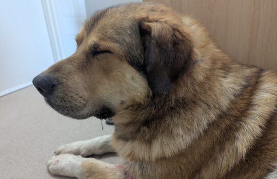 PXL_20260410_205144437