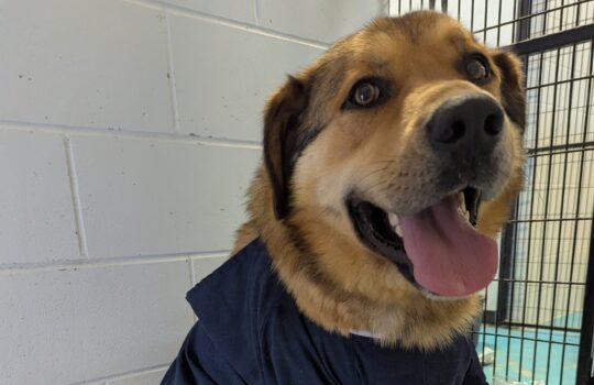 PXL_20260411_212858999