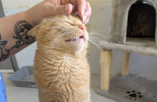 PXL_20260414_213210303