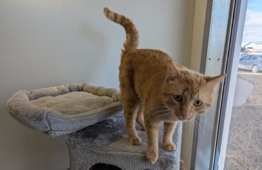 PXL_20260414_213247961