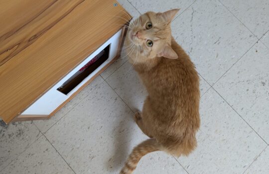 PXL_20260415_171509389