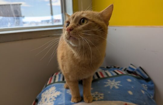 PXL_20260415_171629120