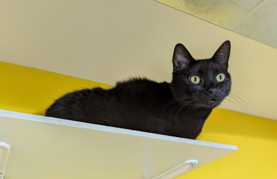 PXL_20260416_160757680