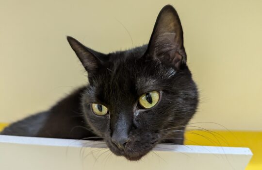 PXL_20260416_160819836