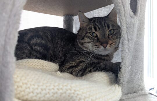 PXL_20260417_202631518