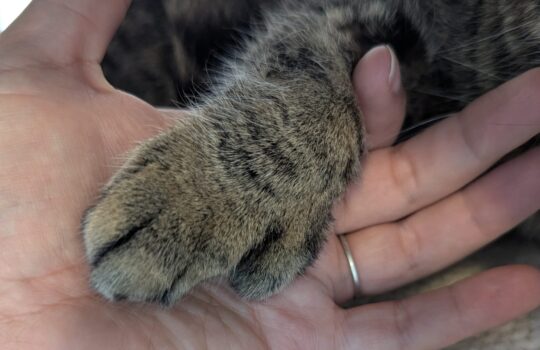 PXL_20260417_202652444