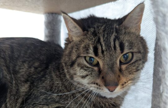 PXL_20260417_202713037