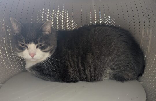 PXL_20260417_202836873