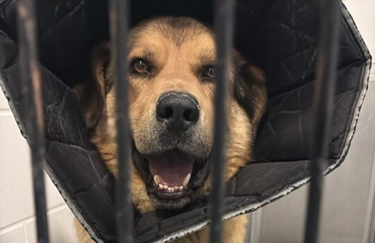 Photo from Mel Winkler (20)